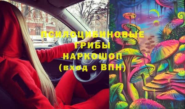 дурь Балахна