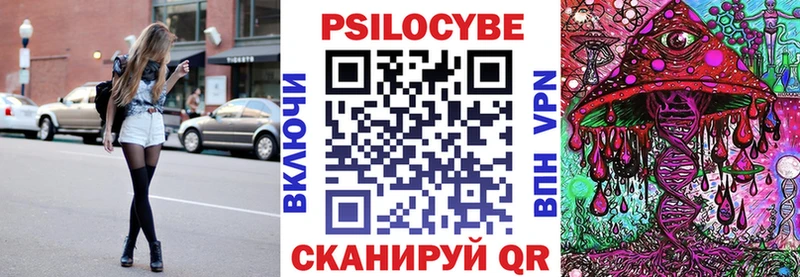 Галлюциногенные грибы GOLDEN TEACHER  Купить закладки  Мышкин 